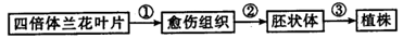 图片_x0020_100010