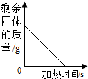 图片_x0020_100019