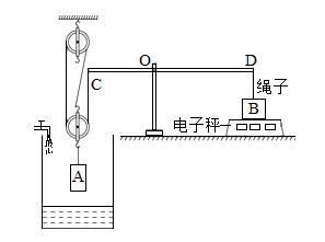 图片_x0020_1393004760