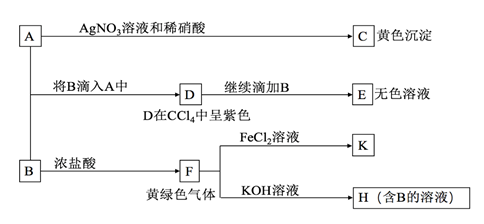 图片_x0020_100017