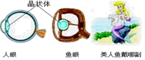 图片_x0020_100002