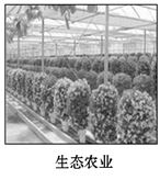 图片_x0020_100003