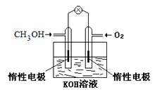 图片_x0020_1823886508