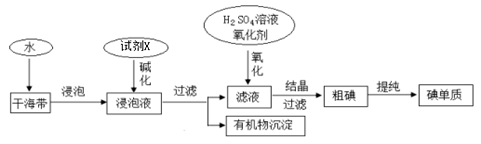 图片_x0020_100016