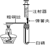 图片_x0020_100021
