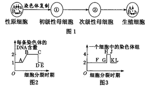 图片_x0020_100006
