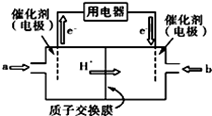 图片_x0020_100021