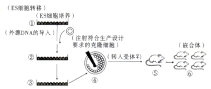 图片_x0020_100027