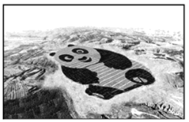 图片_x0020_100009