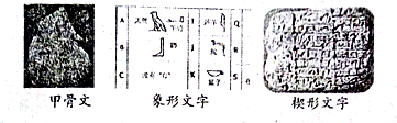 图片_x0020_100003