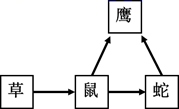 图片_x0020_955605983