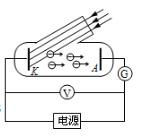 图片_x0020_1822570483