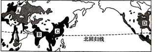图片_x0020_100015