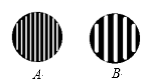图片_x0020_100001
