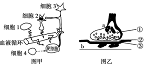 图片_x0020_1559900023