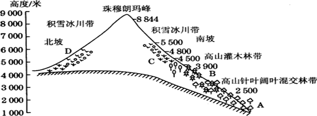 图片_x0020_100031