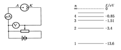 图片_x0020_100018