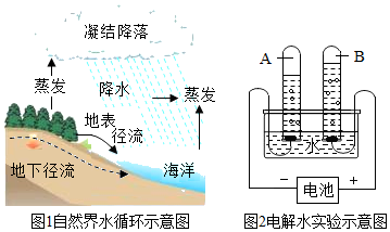 图片_x0020_1607336053