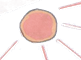 图片_x0020_80