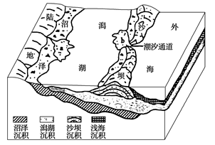图片_x0020_716374016