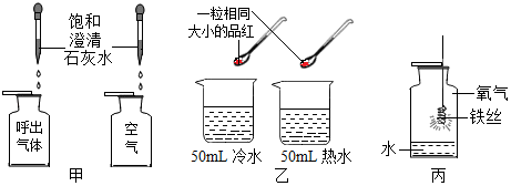 图片_x0020_1825474821