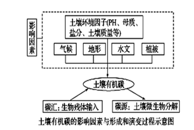 图片_x0020_100020