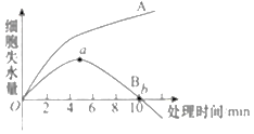 图片_x0020_100003