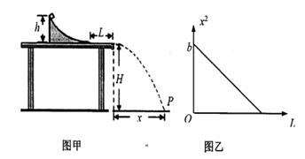 图片_x0020_1286374556