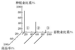 图片_x0020_1886796764
