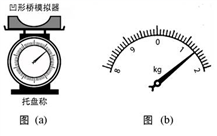 图片_x0020_1246397466