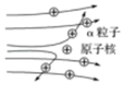 图片_x0020_100017