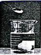 图片_x0020_100001