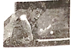 图片_x0020_100002