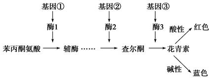 图片_x0020_100001