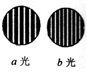 图片_x0020_1196668050