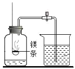 图片_x0020_100008