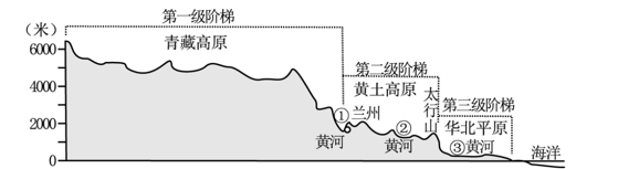 图片_x0020_100015