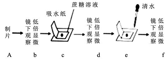 图片_x0020_980798781