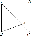 图片_x0020_650669902