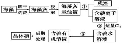 图片_x0020_100023