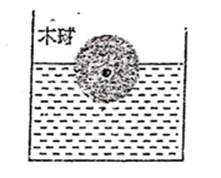 图片_x0020_100021