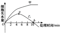 图片_x0020_100001