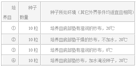 图片_x0020_1129658113