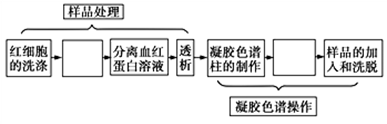 图片_x0020_498535867