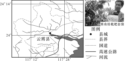 图片_x0020_100010