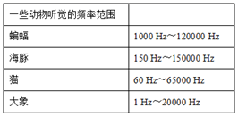 图片_x0020_1242716325