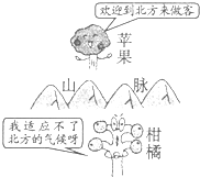 图片_x0020_100001