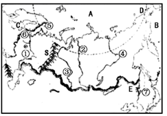 图片_x0020_100006