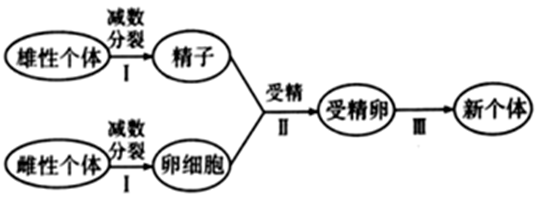 图片_x0020_100004