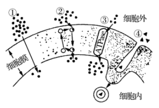 图片_x0020_100001